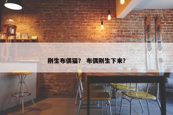 刚生布偶猫？ 布偶刚生下来？