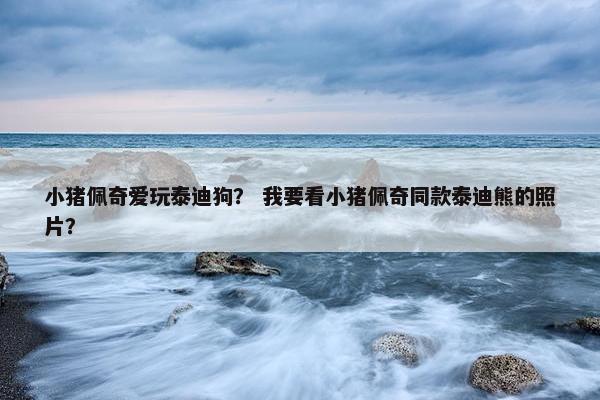 小猪佩奇爱玩泰迪狗？ 我要看小猪佩奇同款泰迪熊的照片？