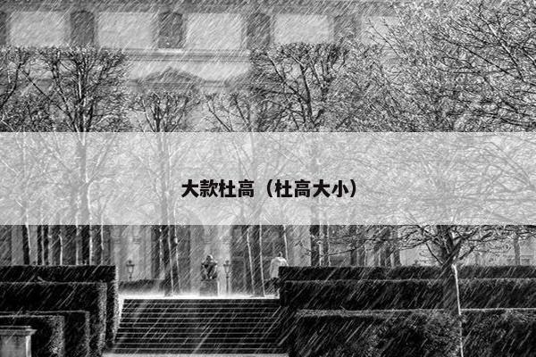 大款杜高（杜高大小）