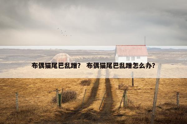 布偶猫尾巴乱蹭？ 布偶猫尾巴乱蹭怎么办？