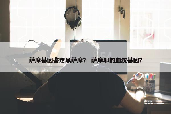 萨摩基因鉴定黑萨摩？ 萨摩耶的血统基因？