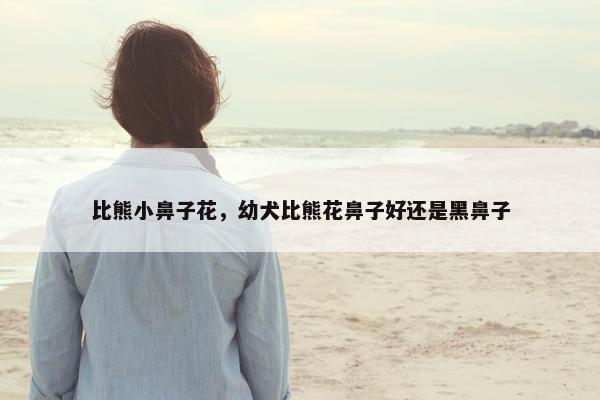 比熊小鼻子花，幼犬比熊花鼻子好还是黑鼻子