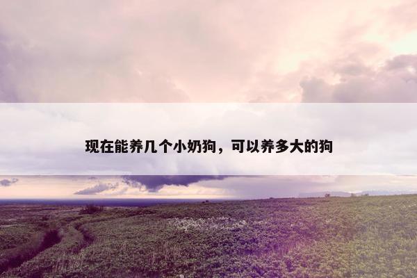 现在能养几个小奶狗，可以养多大的狗