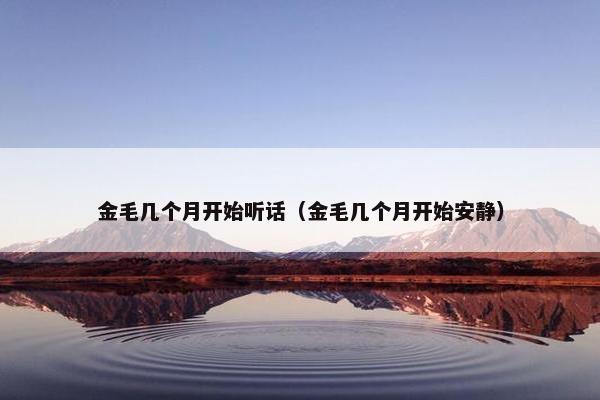 金毛几个月开始听话（金毛几个月开始安静）