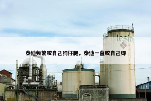 泰迪频繁咬自己狗仔腿，泰迪一直咬自己脚