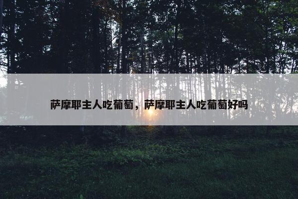 萨摩耶主人吃葡萄，萨摩耶主人吃葡萄好吗