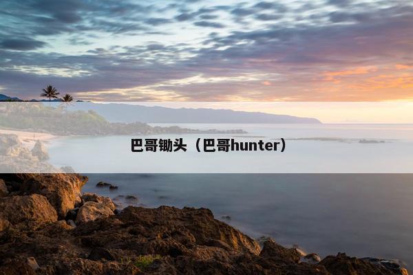 巴哥锄头（巴哥hunter）