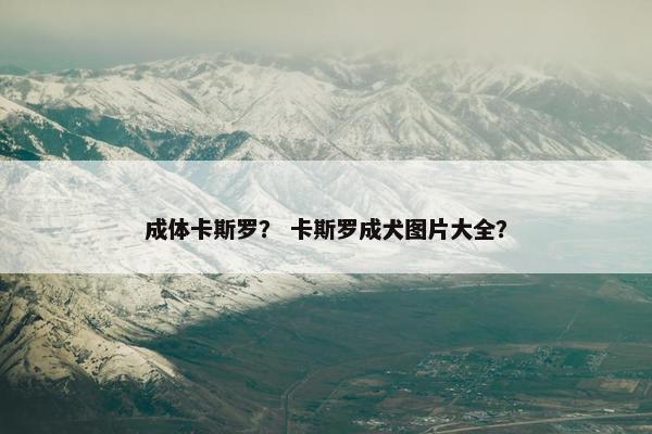 成体卡斯罗？ 卡斯罗成犬图片大全？