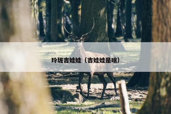 玲珑吉娃娃（吉娃娃是啥）