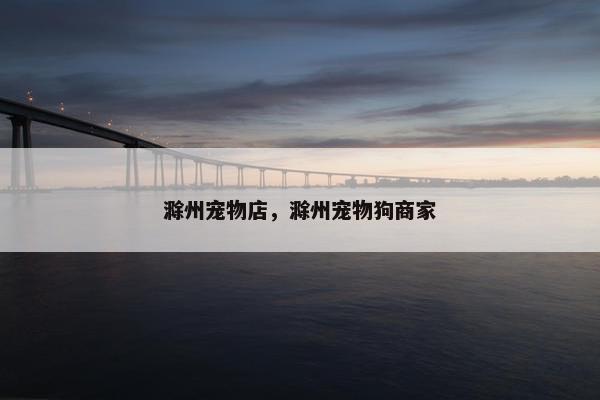 滁州宠物店，滁州宠物狗商家