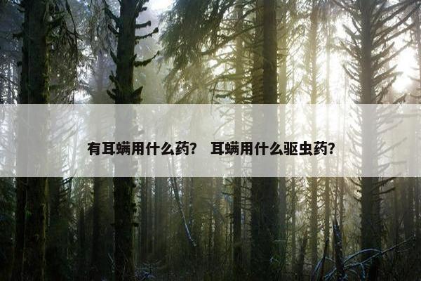 有耳螨用什么药？ 耳螨用什么驱虫药？