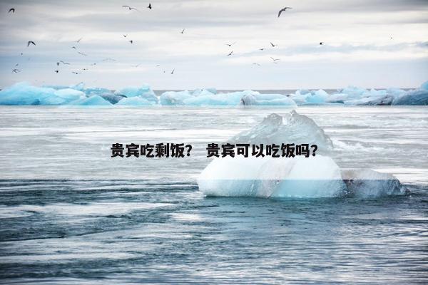 贵宾吃剩饭？ 贵宾可以吃饭吗？