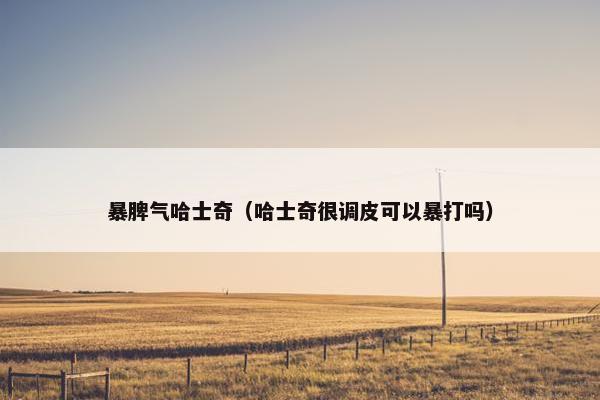 暴脾气哈士奇（哈士奇很调皮可以暴打吗）