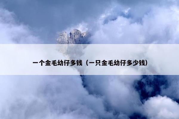 一个金毛幼仔多钱（一只金毛幼仔多少钱）