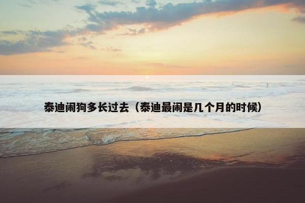 泰迪闹狗多长过去（泰迪最闹是几个月的时候）