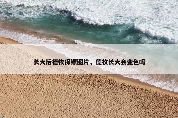 长大后德牧保镖图片，德牧长大会变色吗