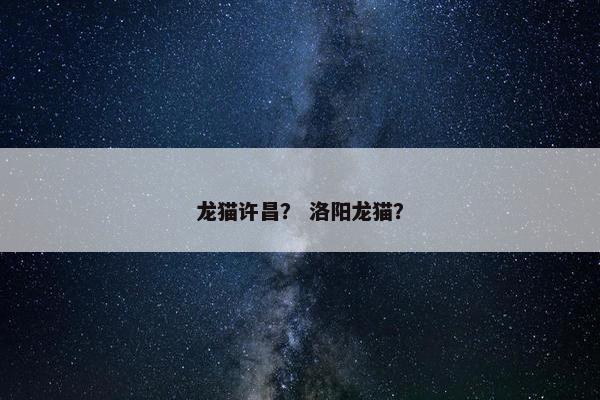 龙猫许昌？ 洛阳龙猫？