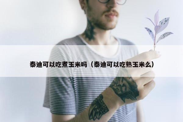 泰迪可以吃煮玉米吗（泰迪可以吃熟玉米么）