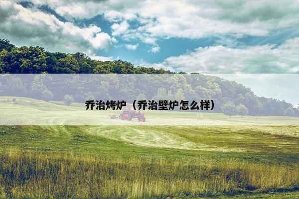 乔治烤炉（乔治壁炉怎么样）