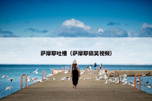 萨摩耶吐槽（萨摩耶搞笑视频）