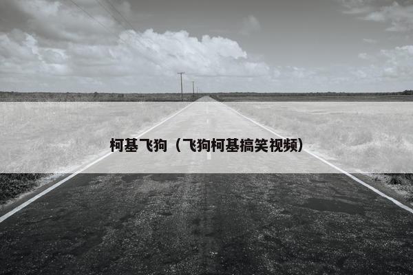 柯基飞狗（飞狗柯基搞笑视频）