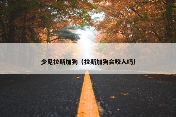 少见拉斯加狗（拉斯加狗会咬人吗）