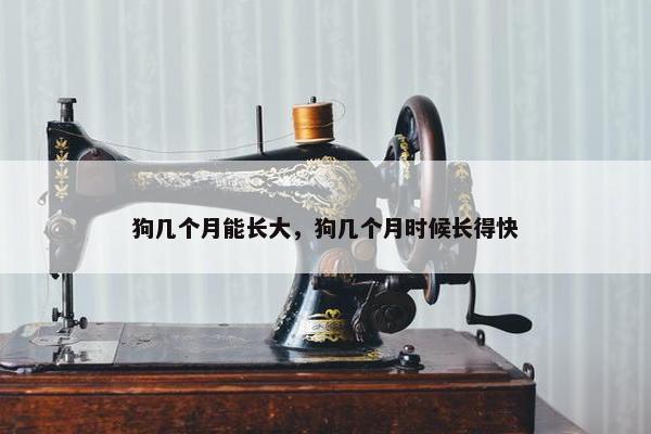 狗几个月能长大，狗几个月时候长得快