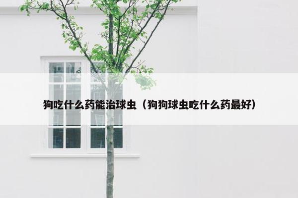 狗吃什么药能治球虫（狗狗球虫吃什么药最好）