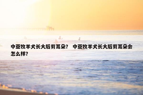 中亚牧羊犬长大后剪耳朵？ 中亚牧羊犬长大后剪耳朵会怎么样？