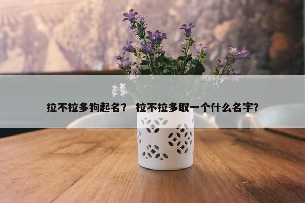 拉不拉多狗起名? 拉不拉多取一个什么名字? 拉不拉多狗起名? 拉不拉多取一个什么名字?