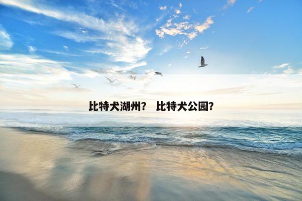 比特犬湖州？ 比特犬公园？