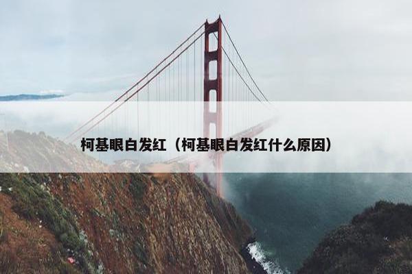 柯基眼白发红（柯基眼白发红什么原因）
