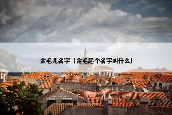 金毛儿名字（金毛起个名字叫什么）