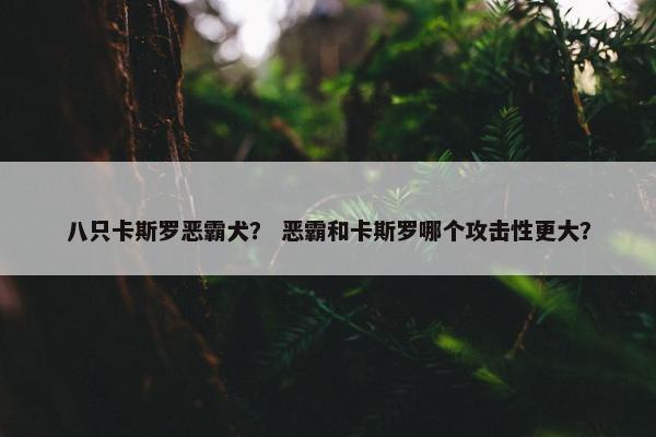 八只卡斯罗恶霸犬? 恶霸和卡斯罗哪个攻击性更大? 八只卡斯罗恶霸犬? 恶霸和卡斯罗哪个攻击性更大?