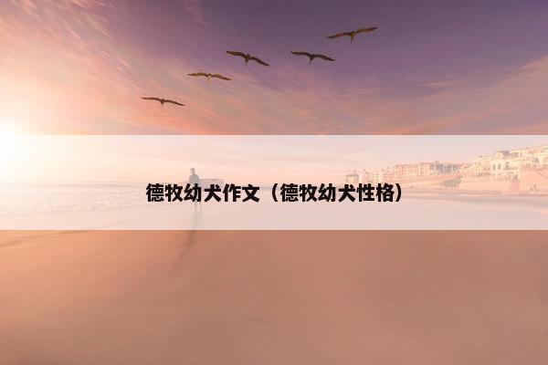 德牧幼犬作文(德牧幼犬性格) 德牧幼犬作文(德牧幼犬性格)