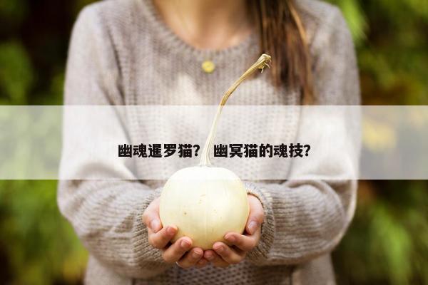 幽魂暹罗猫？ 幽冥猫的魂技？