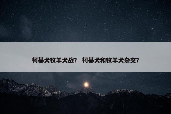 柯基犬牧羊犬战？ 柯基犬和牧羊犬杂交？