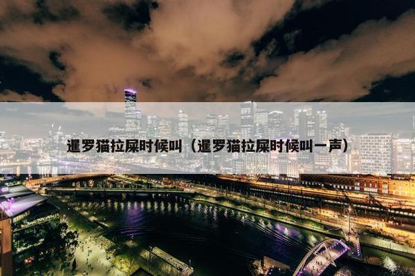 暹罗猫拉屎时候叫（暹罗猫拉屎时候叫一声）