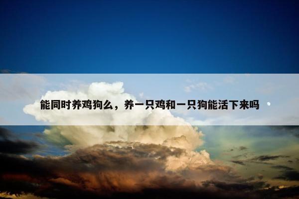 能同时养鸡狗么，养一只鸡和一只狗能活下来吗