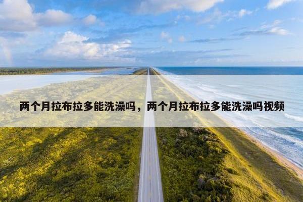 两个月拉布拉多能洗澡吗，两个月拉布拉多能洗澡吗视频