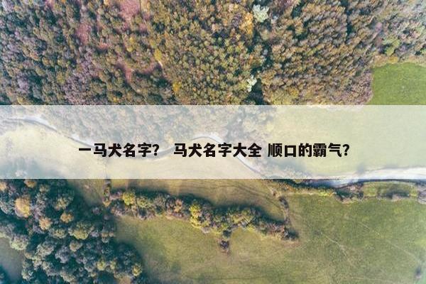 一马犬名字？ 马犬名字大全 顺口的霸气？
