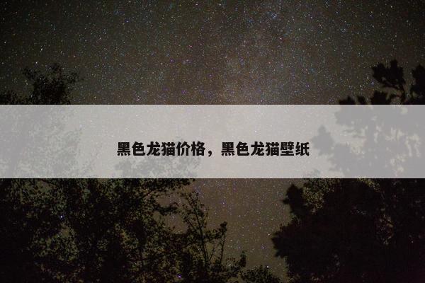 黑色龙猫价格，黑色龙猫壁纸