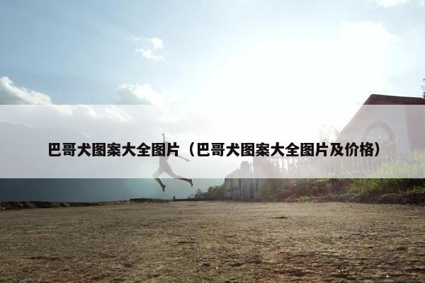 巴哥犬图案大全图片（巴哥犬图案大全图片及价格）