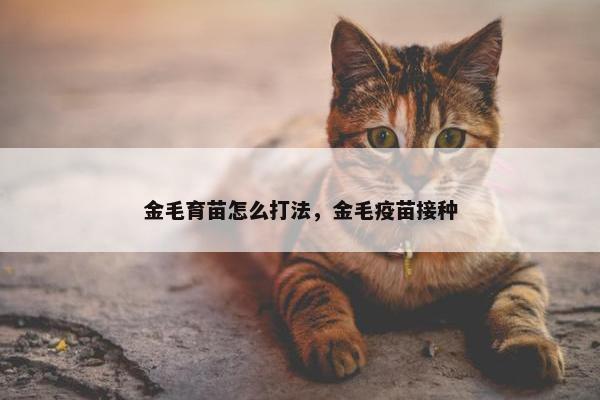 金毛育苗怎么打法，金毛疫苗接种