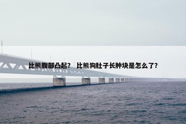 比熊腹部凸起？ 比熊狗肚子长肿块是怎么了？