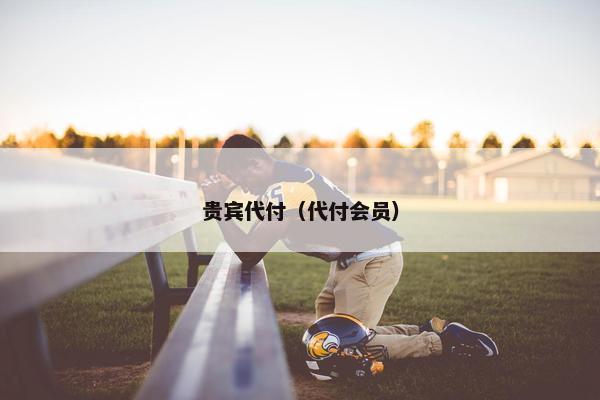贵宾代付（代付会员）