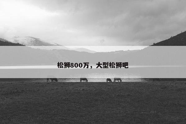 松狮800万，大型松狮吧