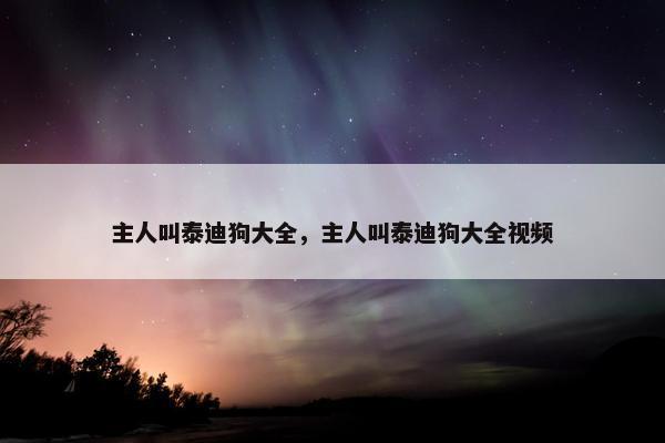 主人叫泰迪狗大全，主人叫泰迪狗大全视频