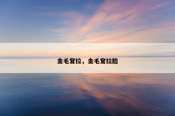 金毛耷拉，金毛耷拉脸