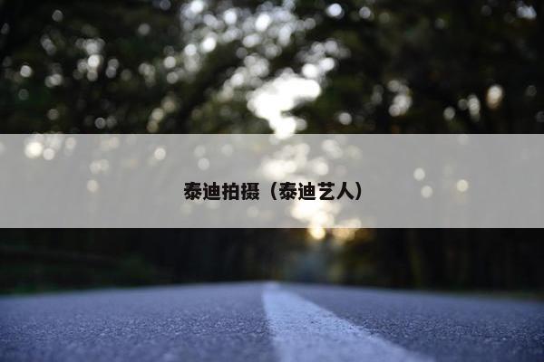 泰迪拍摄（泰迪艺人）